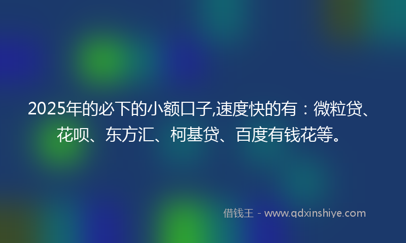 2025年的必下的小额口子,速度快的有：微粒贷、花呗、东方汇、柯基贷、百度有钱花等。