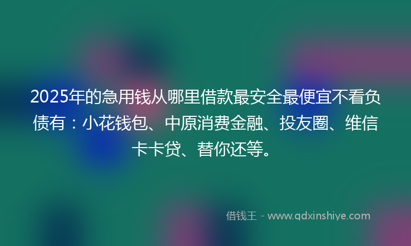 2025年的急用钱从哪里借款最安全最便宜不看负债有：小花钱包、中原消费金融、投友圈、维信卡卡贷、替你还等。