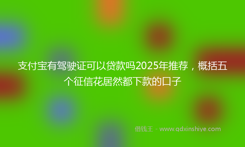 支付宝有驾驶证可以贷款吗2025年推荐，概括五个征信花居然都下款的口子