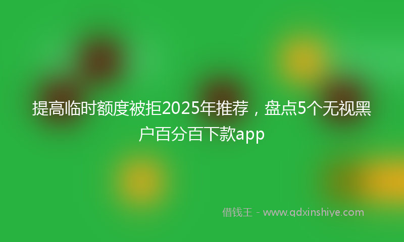 提高临时额度被拒2025年推荐，盘点5个无视黑户百分百下款app