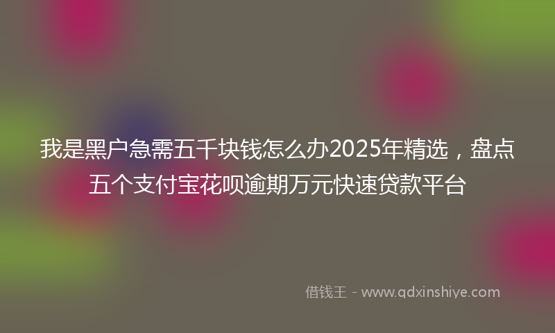 我是黑户急需五千块钱怎么办2025年精选，盘点五个支付宝花呗逾期万元快速贷款平台