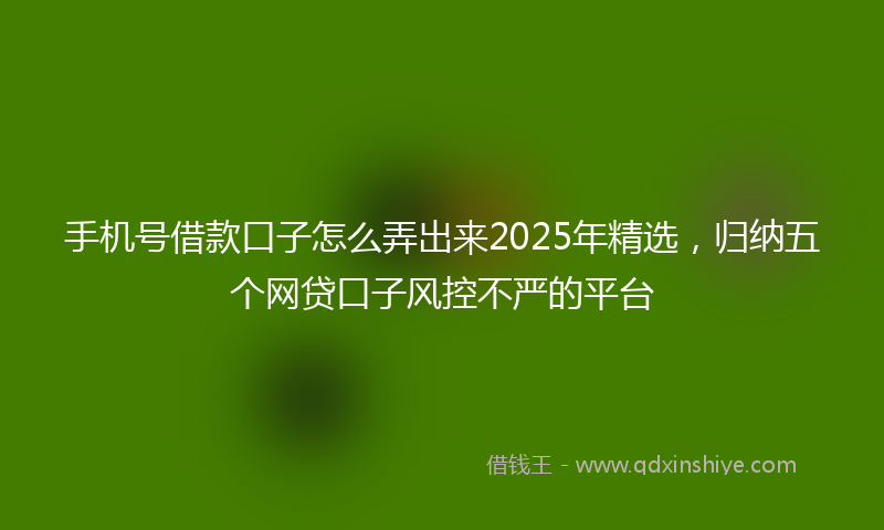 手机号借款口子怎么弄出来2025年精选，归纳五个网贷口子风控不严的平台