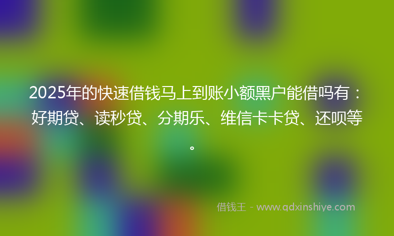 2025年的快速借钱马上到账小额黑户能借吗有：好期贷、读秒贷、分期乐、维信卡卡贷、还呗等。