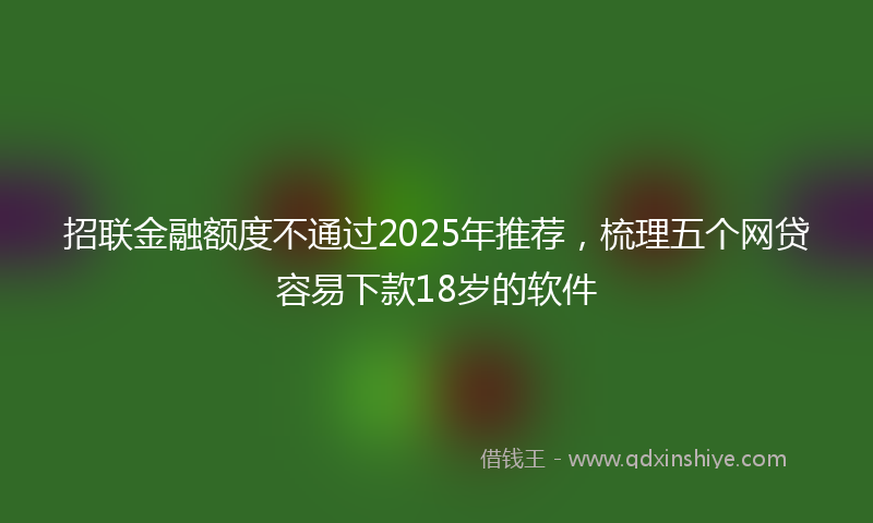 招联金融额度不通过2025年推荐，梳理五个网贷容易下款18岁的软件