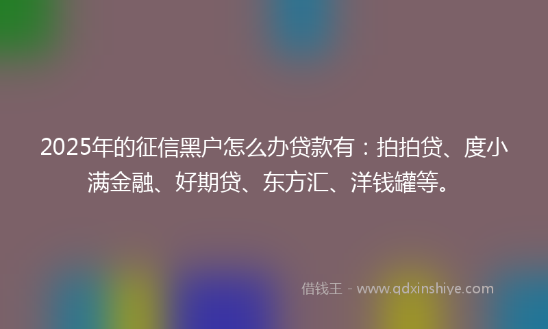 2025年的征信黑户怎么办贷款有：拍拍贷、度小满金融、好期贷、东方汇、洋钱罐等。