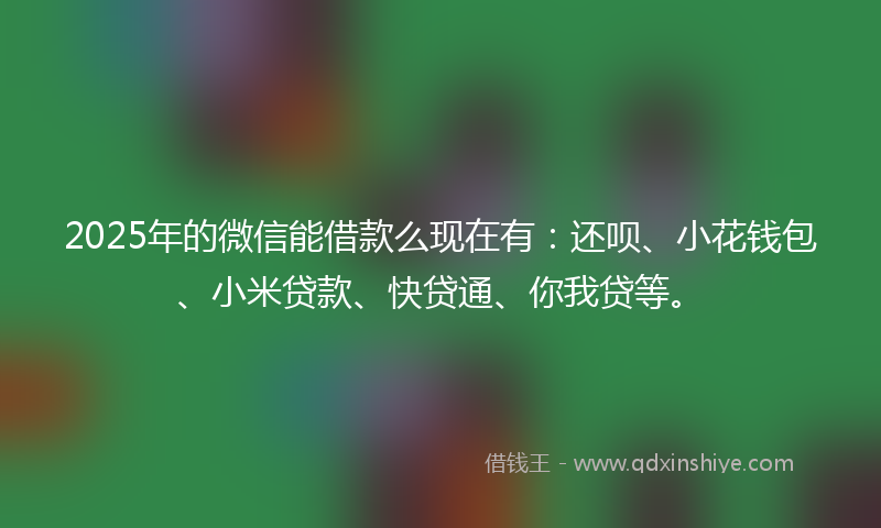 2025年的微信能借款么现在有：还呗、小花钱包、小米贷款、快贷通、你我贷等。