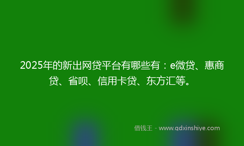 2025年的新出网贷平台有哪些有：e微贷、惠商贷、省呗、信用卡贷、东方汇等。