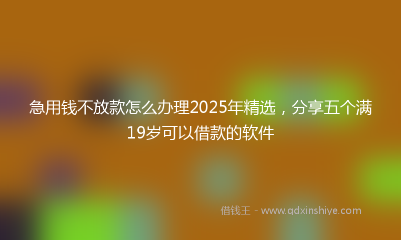 急用钱不放款怎么办理2025年精选，分享五个满19岁可以借款的软件