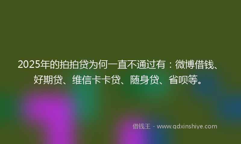 2025年的拍拍贷为何一直不通过有：微博借钱、好期贷、维信卡卡贷、随身贷、省呗等。