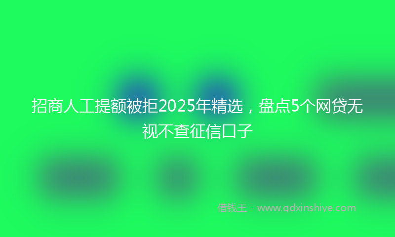 招商人工提额被拒2025年精选，盘点5个网贷无视不查征信口子