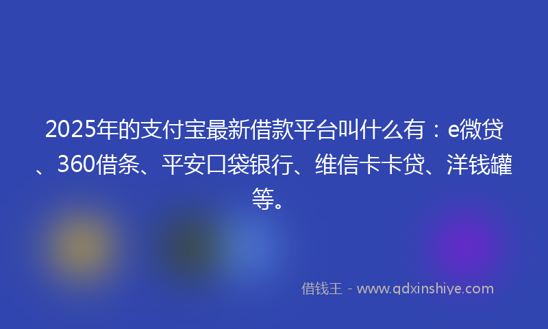 2025年的支付宝最新借款平台叫什么有：e微贷、360借条、平安口袋银行、维信卡卡贷、洋钱罐等。
