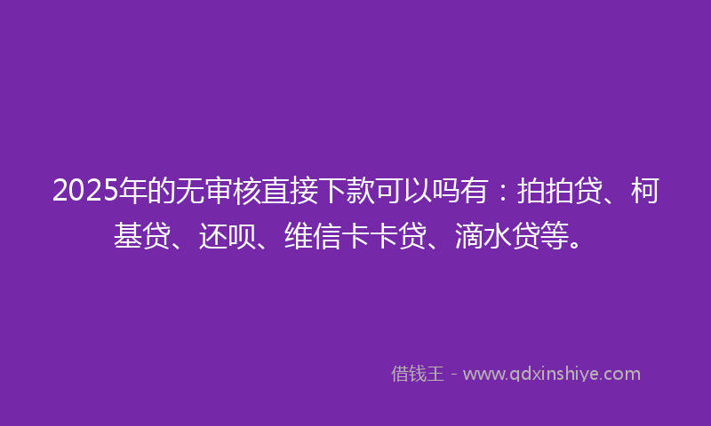 2025年的无审核直接下款可以吗有：拍拍贷、柯基贷、还呗、维信卡卡贷、滴水贷等。