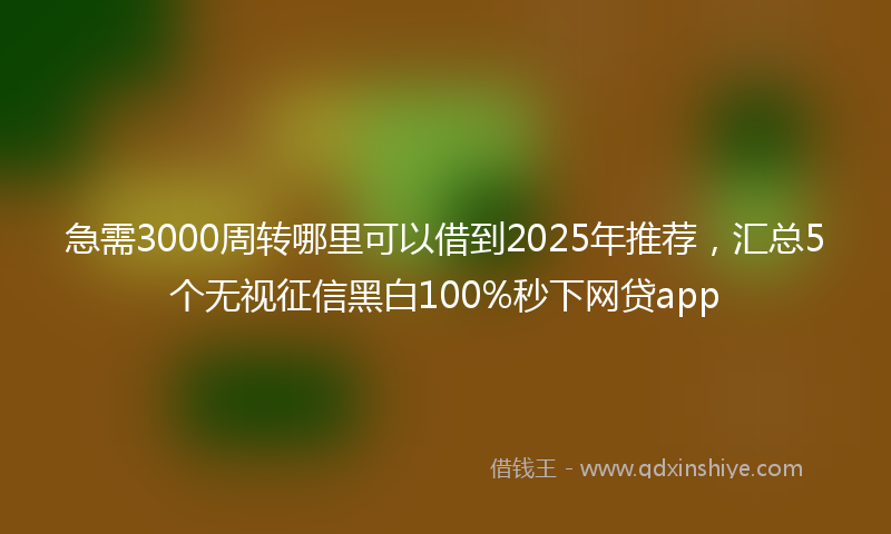 急需3000周转哪里可以借到2025年推荐，汇总5个无视征信黑白100%秒下网贷app