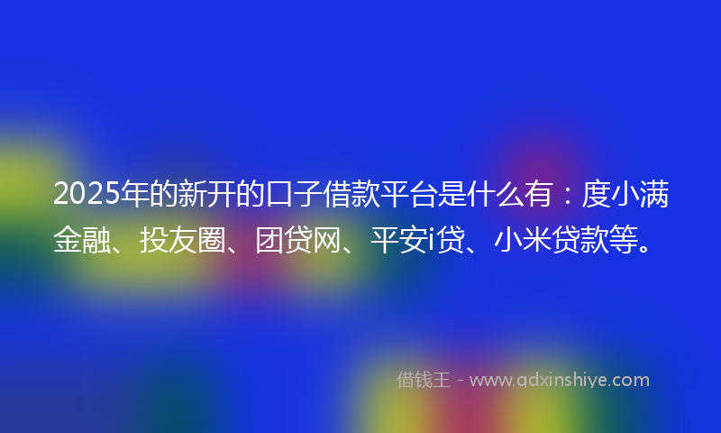 2025年的新开的口子借款平台是什么有：度小满金融、投友圈、团贷网、平安i贷、小米贷款等。