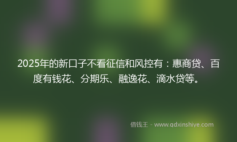 2025年的新口子不看征信和风控有：惠商贷、百度有钱花、分期乐、融逸花、滴水贷等。