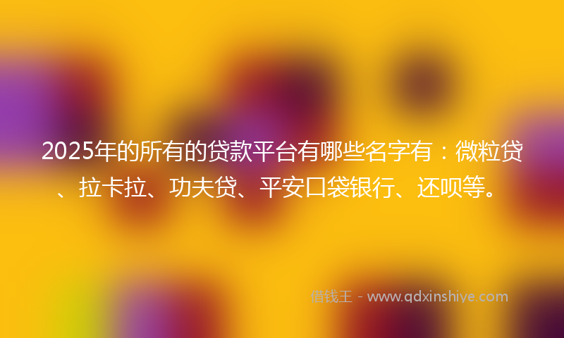 2025年的所有的贷款平台有哪些名字有：微粒贷、拉卡拉、功夫贷、平安口袋银行、还呗等。