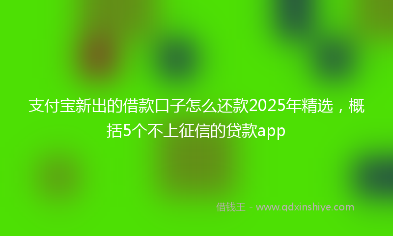 支付宝新出的借款口子怎么还款2025年精选，概括5个不上征信的贷款app