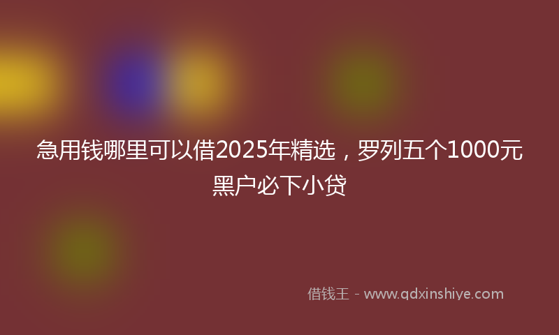 急用钱哪里可以借2025年精选，罗列五个1000元黑户必下小贷