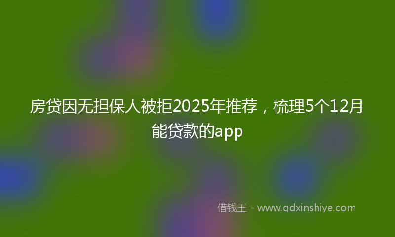房贷因无担保人被拒2025年推荐，梳理5个12月能贷款的app