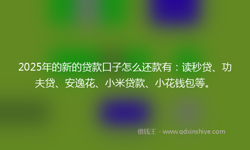 2025年的新的贷款口子怎么还款有：读秒贷、功夫贷、安逸花、小米贷款、小花钱包等。