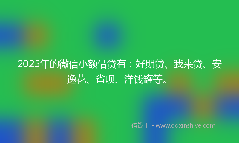 2025年的微信小额借贷有：好期贷、我来贷、安逸花、省呗、洋钱罐等。