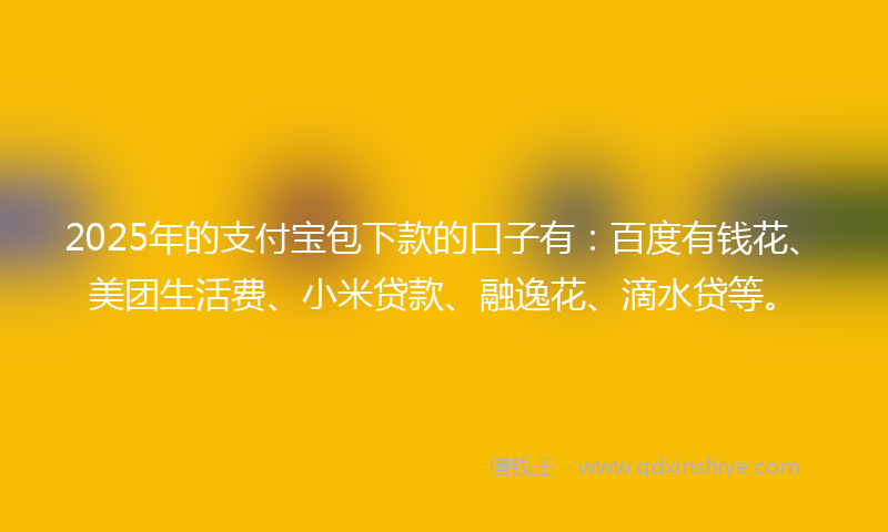 2025年的支付宝包下款的口子有：百度有钱花、美团生活费、小米贷款、融逸花、滴水贷等。