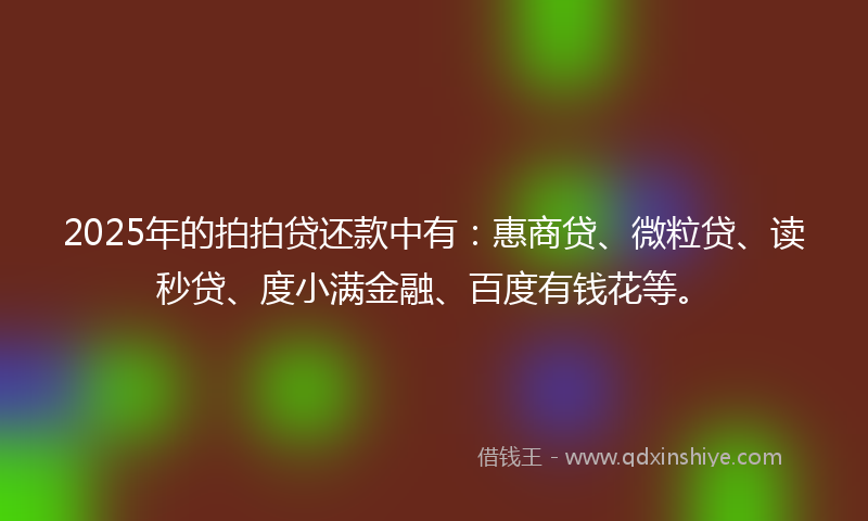 2025年的拍拍贷还款中有：惠商贷、微粒贷、读秒贷、度小满金融、百度有钱花等。