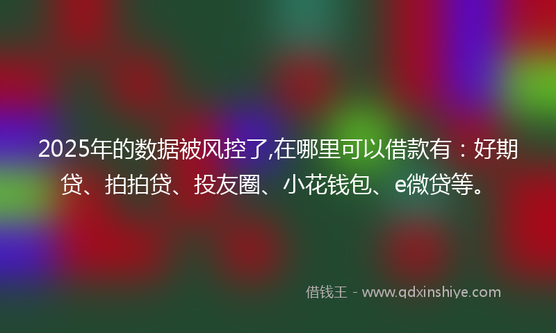 2025年的数据被风控了,在哪里可以借款有：好期贷、拍拍贷、投友圈、小花钱包、e微贷等。
