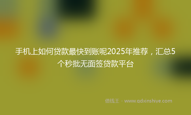 手机上如何贷款最快到账呢2025年推荐，汇总5个秒批无面签贷款平台