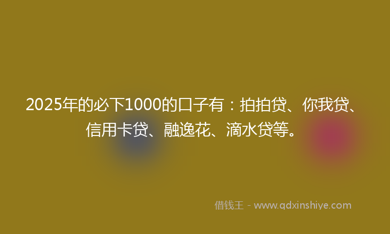 2025年的必下1000的口子有：拍拍贷、你我贷、信用卡贷、融逸花、滴水贷等。