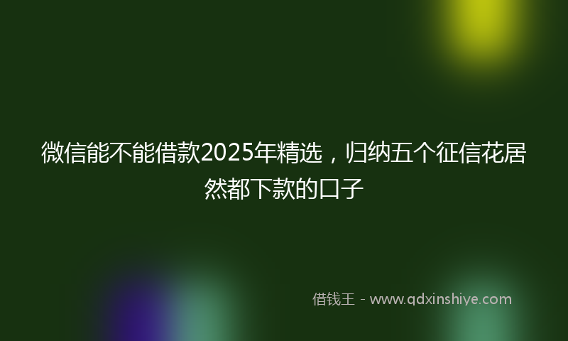 微信能不能借款2025年精选，归纳五个征信花居然都下款的口子