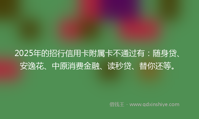 2025年的招行信用卡附属卡不通过有：随身贷、安逸花、中原消费金融、读秒贷、替你还等。