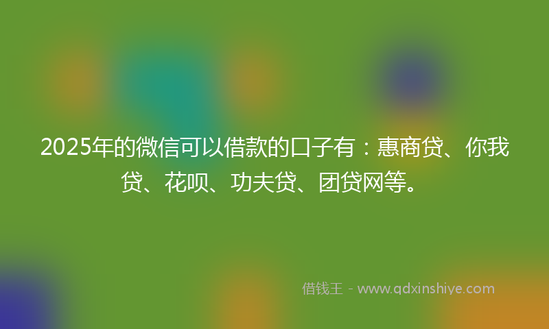 2025年的微信可以借款的口子有：惠商贷、你我贷、花呗、功夫贷、团贷网等。