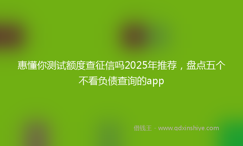 惠懂你测试额度查征信吗2025年推荐，盘点五个不看负债查询的app