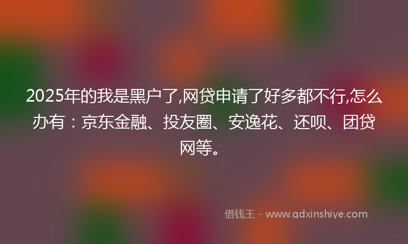 2025年的我是黑户了,网贷申请了好多都不行,怎么办有：京东金融、投友圈、安逸花、还呗、团贷网等。