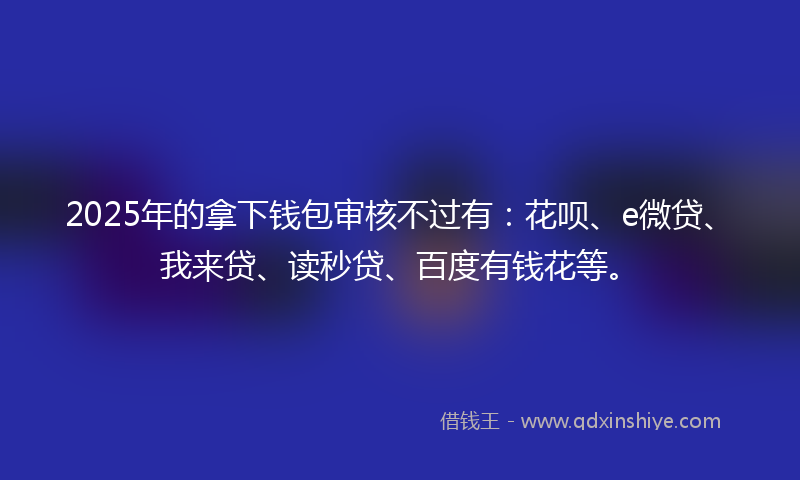 2025年的拿下钱包审核不过有：花呗、e微贷、我来贷、读秒贷、百度有钱花等。