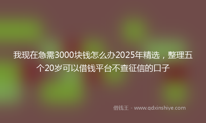 我现在急需3000块钱怎么办2025年精选，整理五个20岁可以借钱平台不查征信的口子