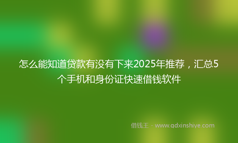 怎么能知道贷款有没有下来2025年推荐，汇总5个手机和身份证快速借钱软件