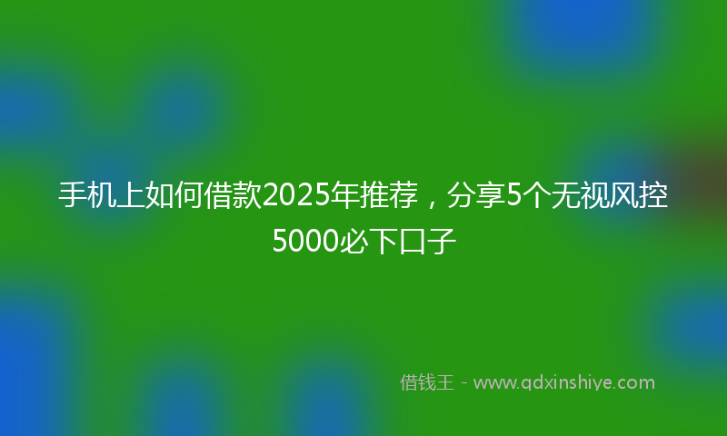 手机上如何借款2025年推荐，分享5个无视风控5000必下口子