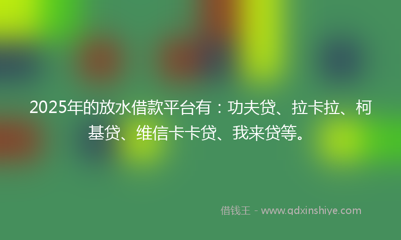 2025年的放水借款平台有：功夫贷、拉卡拉、柯基贷、维信卡卡贷、我来贷等。