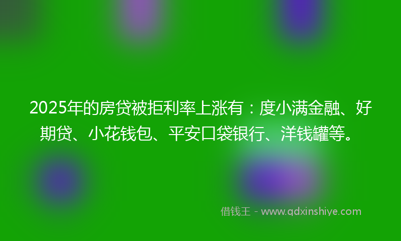 2025年的房贷被拒利率上涨有：度小满金融、好期贷、小花钱包、平安口袋银行、洋钱罐等。
