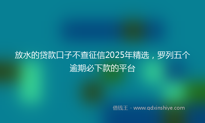 放水的贷款口子不查征信2025年精选，罗列五个逾期必下款的平台