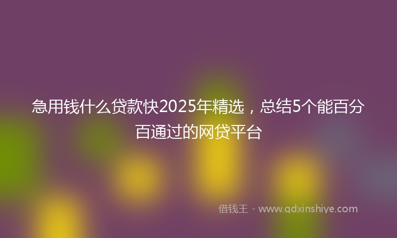 急用钱什么贷款快2025年精选，总结5个能百分百通过的网贷平台