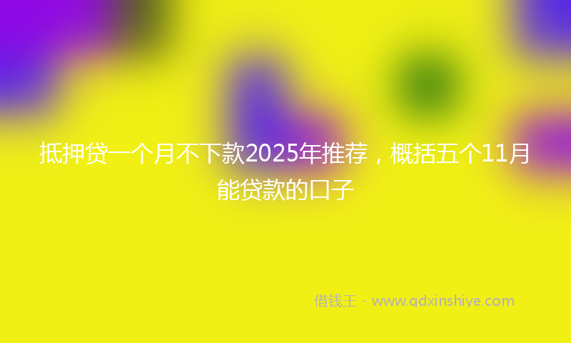 抵押贷一个月不下款2025年推荐，概括五个11月能贷款的口子