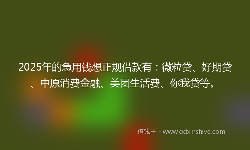 2025年的急用钱想正规借款有：微粒贷、好期贷、中原消费金融、美团生活费、你我贷等。