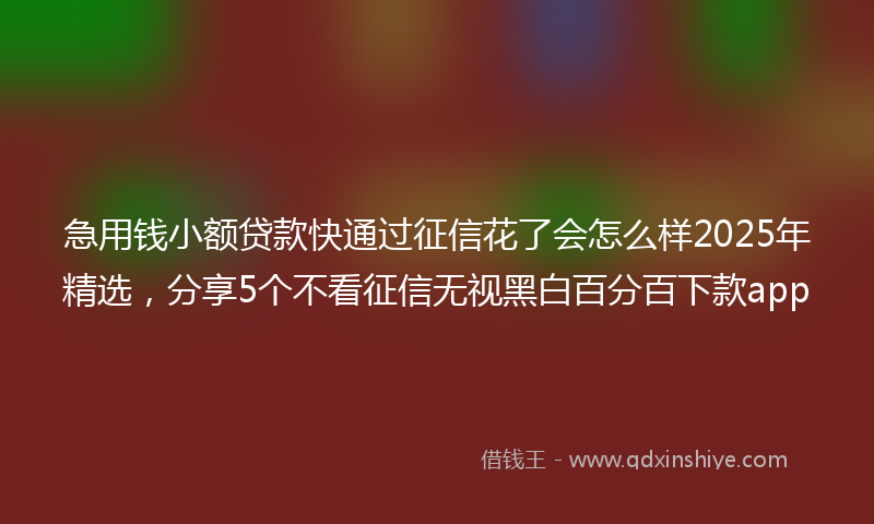 急用钱小额贷款快通过征信花了会怎么样2025年精选，分享5个不看征信无视黑白百分百下款app