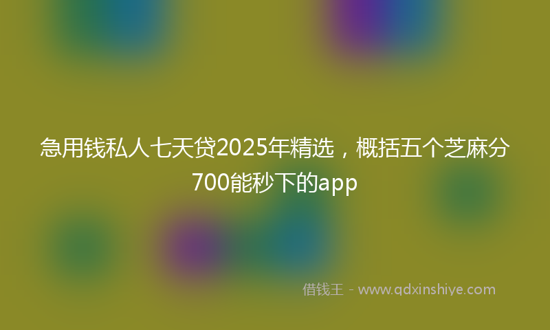 急用钱私人七天贷2025年精选，概括五个芝麻分700能秒下的app