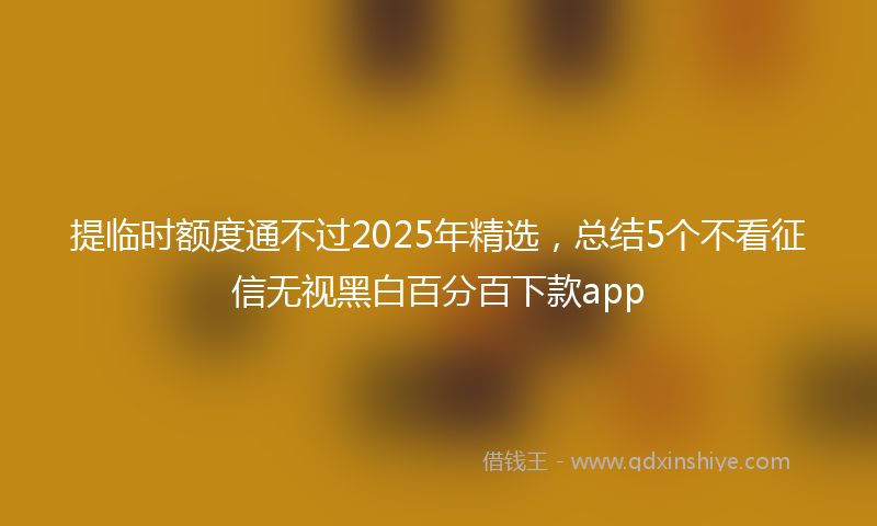 提临时额度通不过2025年精选，总结5个不看征信无视黑白百分百下款app