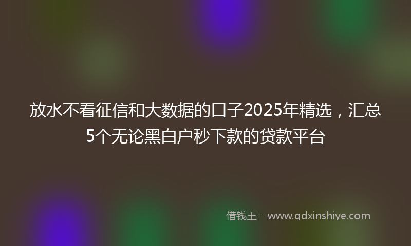 放水不看征信和大数据的口子2025年精选，汇总5个无论黑白户秒下款的贷款平台