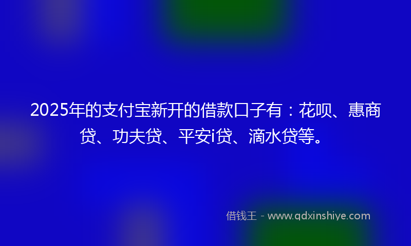 2025年的支付宝新开的借款口子有：花呗、惠商贷、功夫贷、平安i贷、滴水贷等。